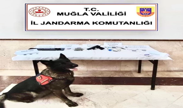 Muğla’nın 5 ilçesindeki uyuşturucu operasyonunda 14 gözaltı