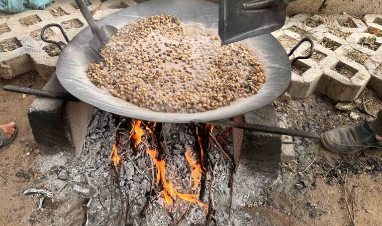 Nohudun 200 derecelik meşe ateşinde başlayan yolculuğu