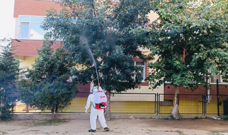 Okul bahçelerindeki ağaçlar ilaçlanıyor