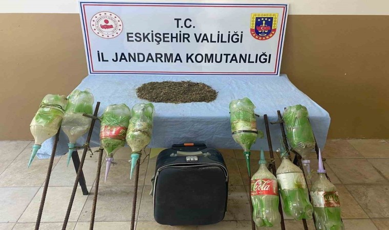 Ormana ekilen uyuşturucu jandarma tarafından bulundu