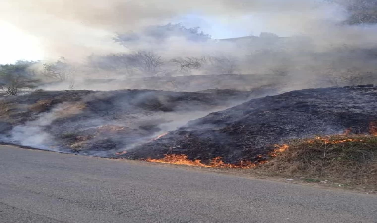 Pendik’te ağaçlara sıçrayan yangın söndürüldü