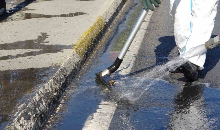 Pendikte yola bırakılan kimyasal madde paniğe neden oldu