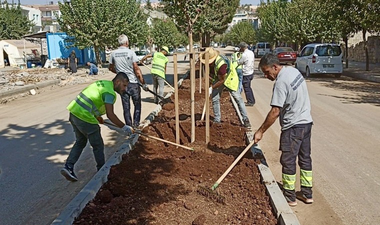 Refüj ve kavşakların bakım, onarım çalışmalarına devam ediyor