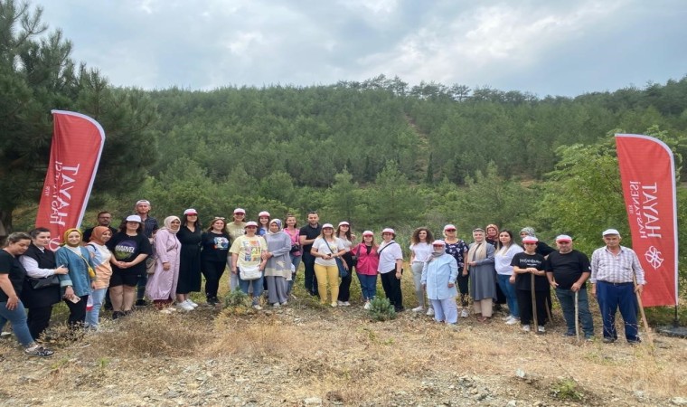 Sağlık çalışanları ağaçların da bakımını yaptı