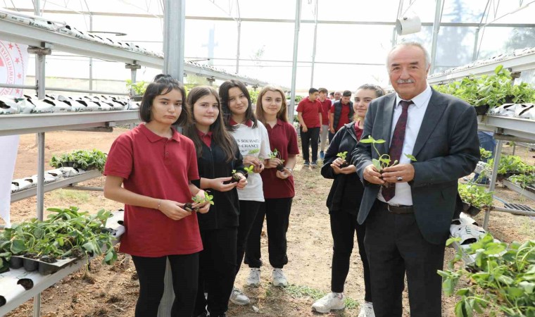 Sarıcakayada çilekler, topraksız tarım ve su kültürü tekniği ile yetişecek