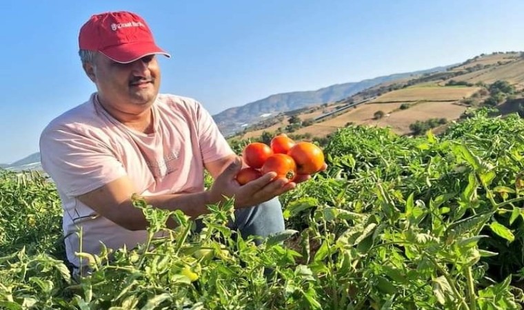 Sarıgölde evlerde kış hazırlığı