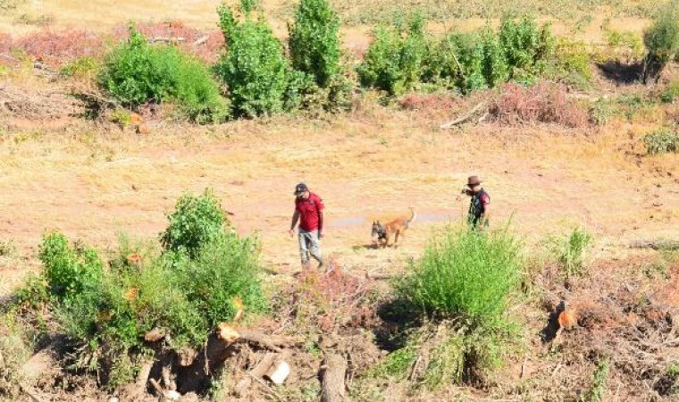 Selde kaybolan Asel’i kadavra köpekleri arıyor