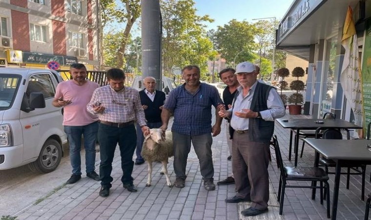 Servisçiler dualar edip kurban keserek sezona başladı