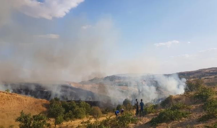 Siirt’te çıkan yangında 20 dönüm fıstık ve üzüm bağı zarar gördü