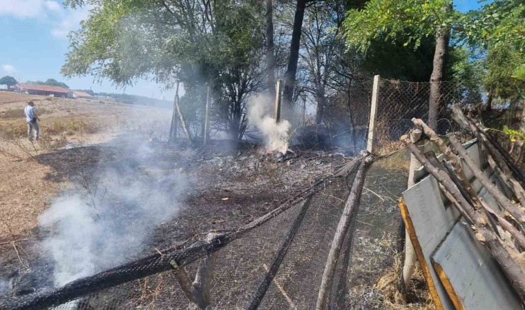 Sinopta çıkan eş zamanlı yangınlar korkuttu