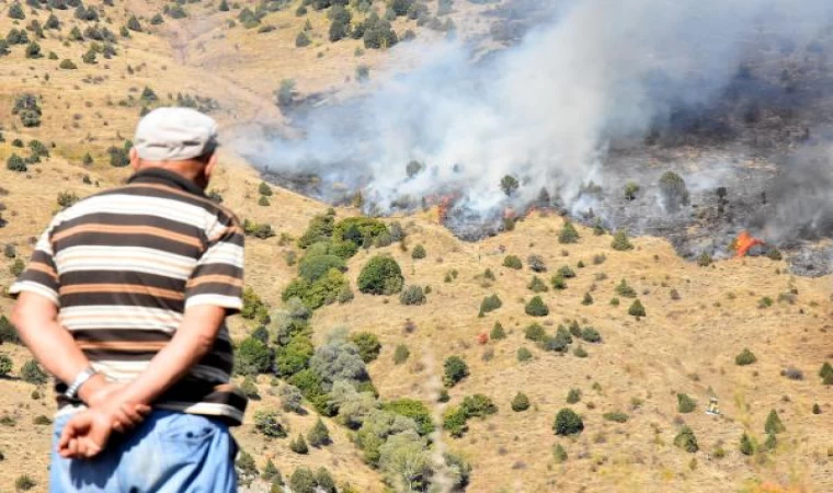 Sivas’ta otluk ve ağaçlık alanda çıkan yangına müdahale ediliyor (2)