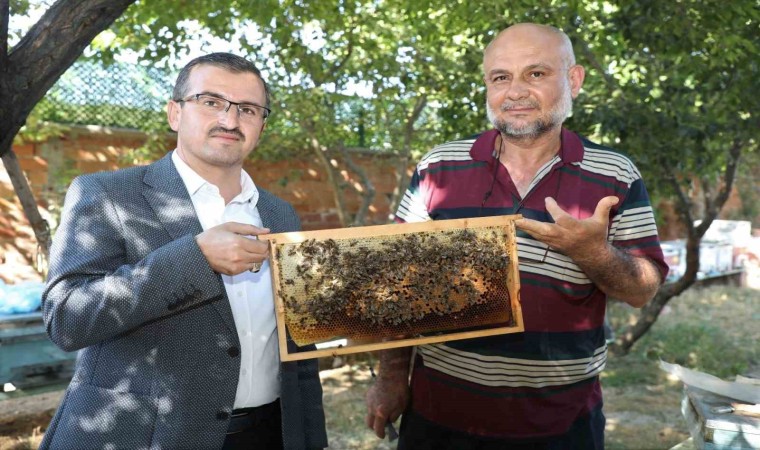 Sokmayan arılar Yozgatta lavanta balı üretimine başladı