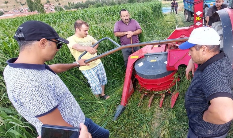 Sorgum sudan otu melezi hasadı yapıldı