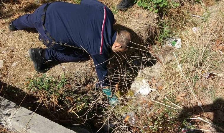 Sultanbeylide sokağa dökülen maddeden yayılan koku paniğe neden oldu