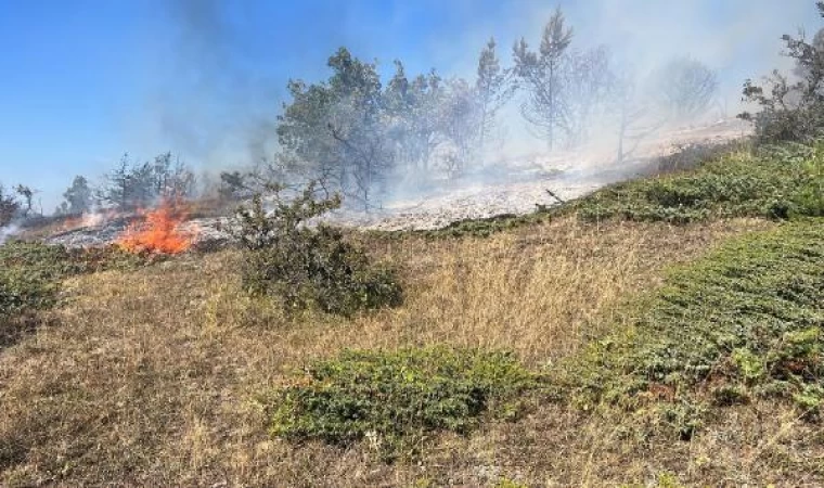 Tokat’ta orman yangını 1 saatte kontrol altına alındı