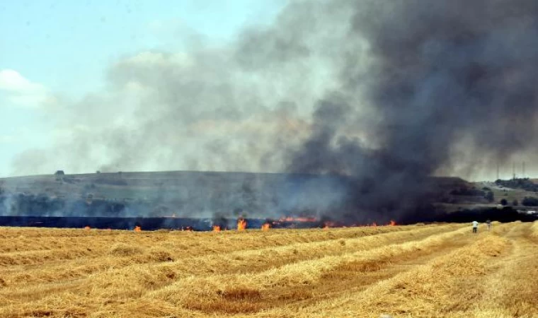 Trakya’da yangınlarda 7 bin 248 dekar tarım alanı zarar gördü