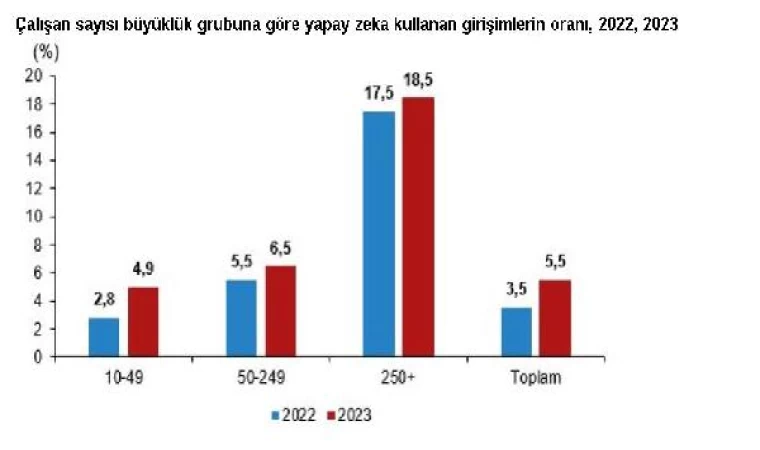 TÜİK: İnternet erişimine sahip girişimlerin oranı yüzde 96