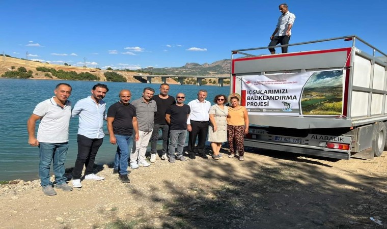 Tuncelide baraj gölü ve gölete bir buçuk milyon sazan bırakıldı