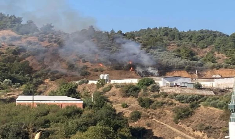 Turgutlu’da ot yangını, büyümden söndürüldü