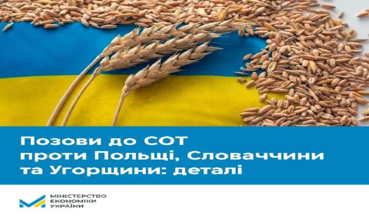 Ukrayna Ekonomi Bakanlığı: Polonya, Slovakya ve Macaristan’a karşı dava açtık