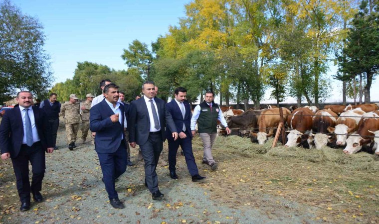 Vali Çiçek, Göle TİGEMde incelemelerde bulundu