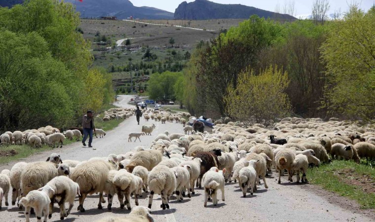 Yayla mesaisini tamamlayan Doğu Anadoludaki göçerler dönüş yolunda