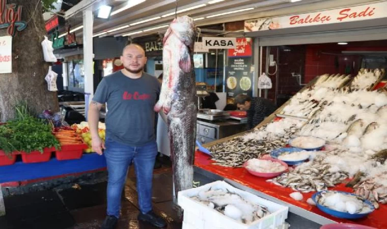 Yeşilırmak’ta yakalanan 1 metre 70 santimlik yayın balığı, satışa çıkarıldı