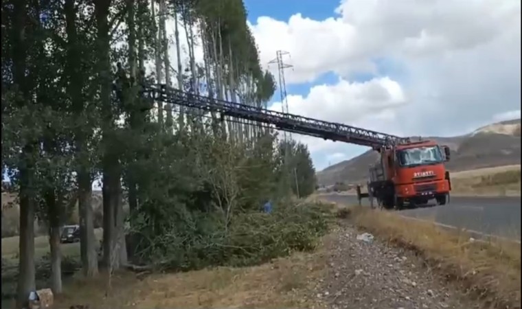 Yüksek gerilim hattının üzerinden geçtiği 200 ağaç kesildi