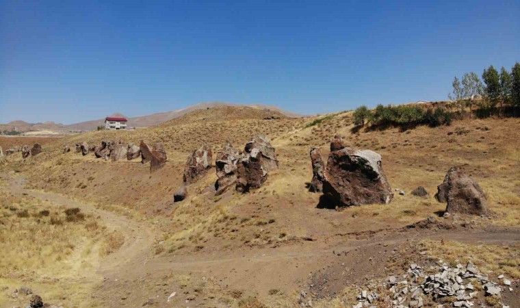 Yüzlerce yıllık Nemrut Develeri bir bir yok oluyor