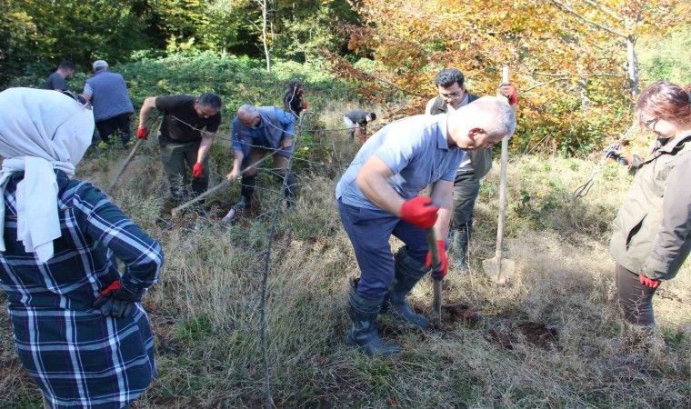 100 adet yabani meyve fidanı dikildi