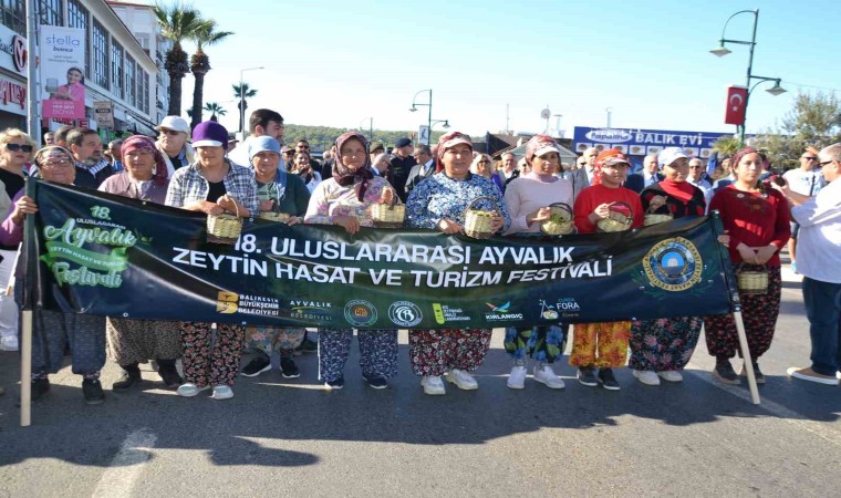 18. Ayvalık Uluslararası Zeytin Hasat Festivali başladı