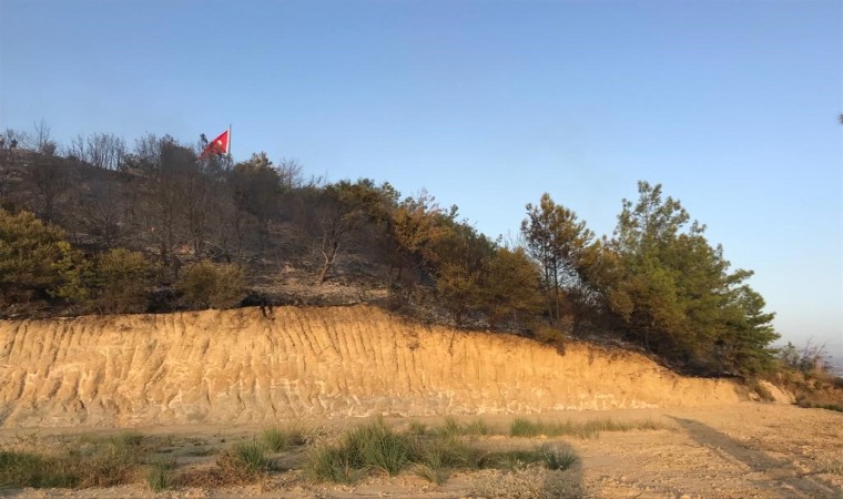 Aksuda çıkan orman yangını söndürüldü