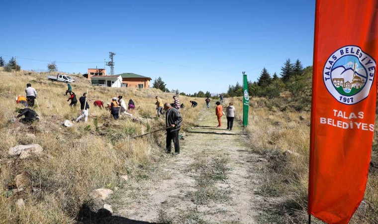 Ali Dağına Ağaç Dikmeye Devam