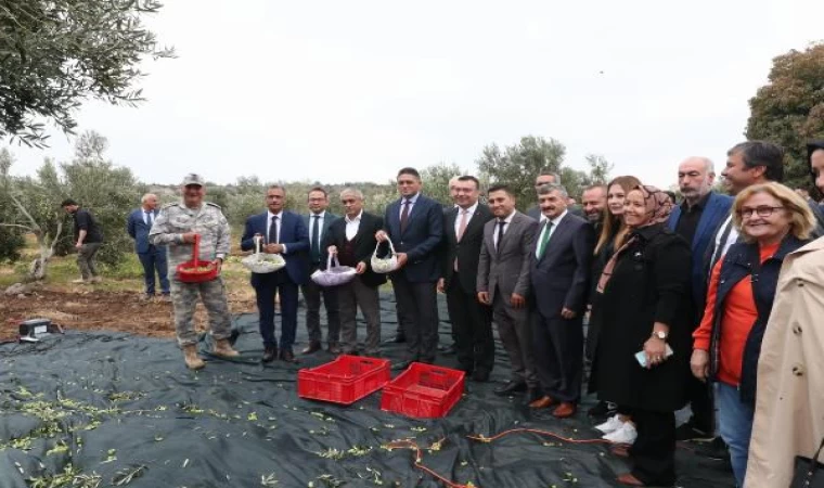 Aliağa’da 2’nci Zeytin Hasat Şenliği başladı