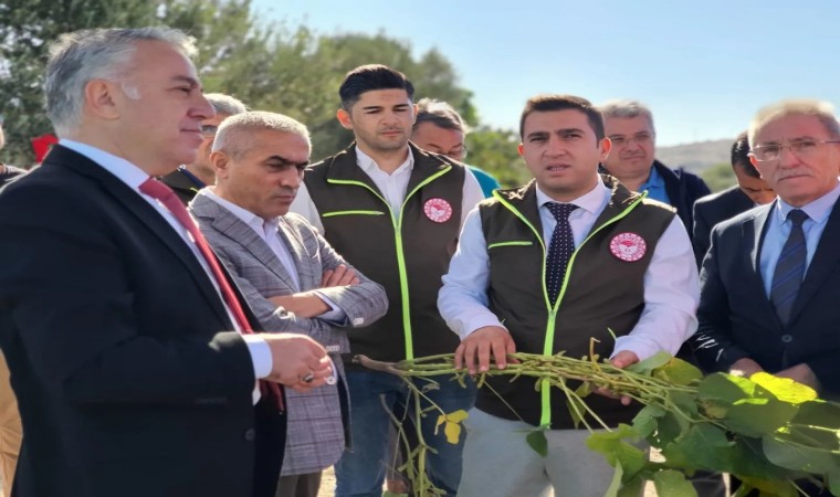 Aliağada mısır ve soya silajı tanıtıldı