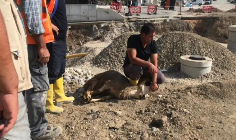 Ankara’da toprak kayması nedeniyle otopark çöktü; ’kayıp yok’ diye kurban kestiler