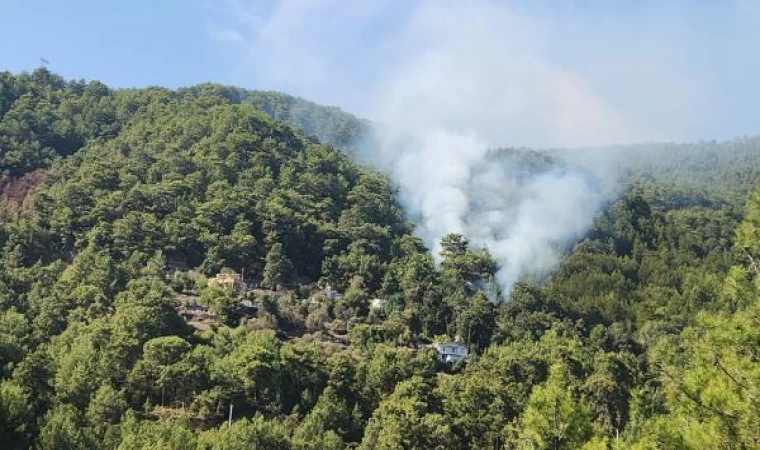 Antalya’da 2 dönüm orman yandı