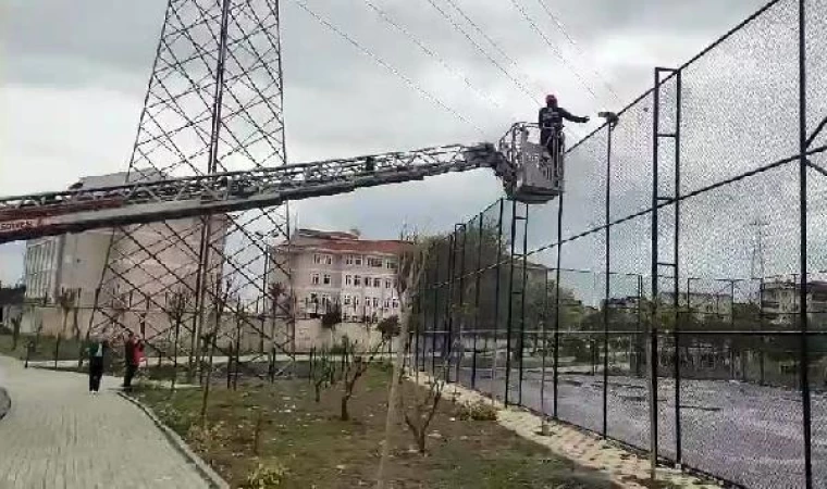 Avcılar’da tel örgüde mahsur kalan kedi kurtarıldı