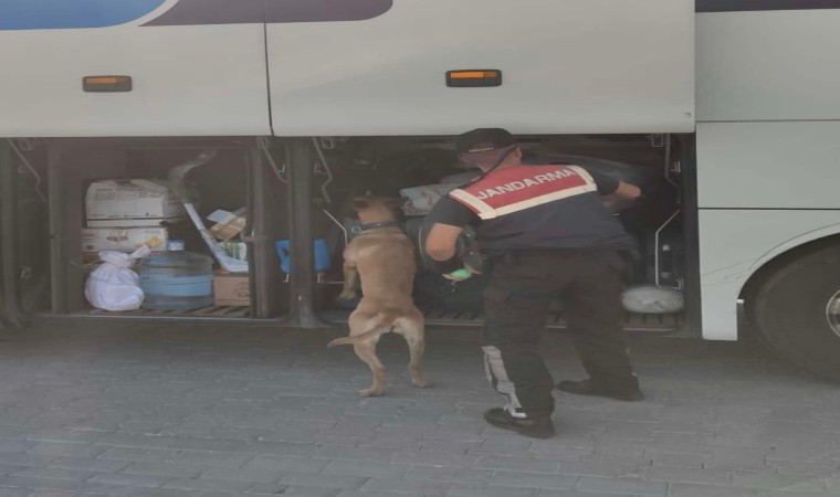 Aydında jandarma ekipleri düzensiz göçe geçit vermiyor