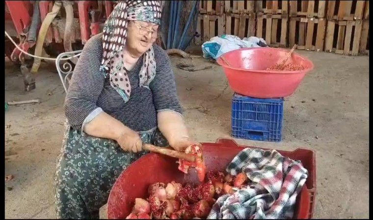 Aydında kış hazırlıkları narların kaynatılmasıyla başladı