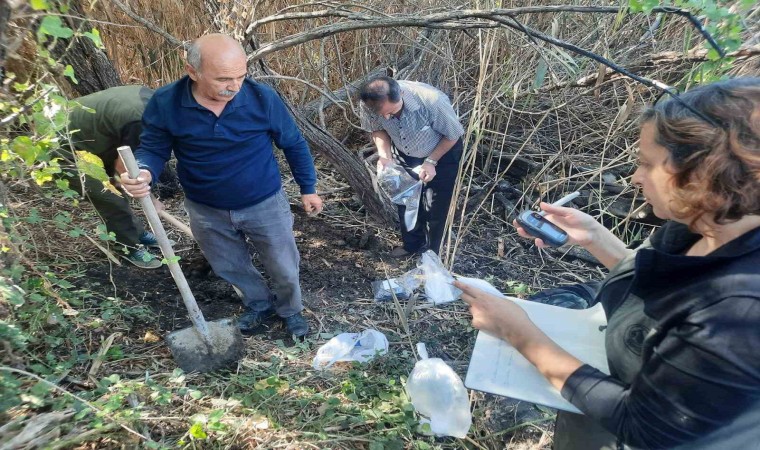 Aydında yaban hayvanı alanı incelendi