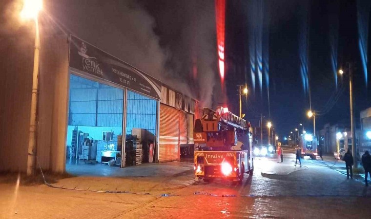 Aydındaki yangında üç iş yeri zarar gördü