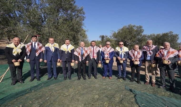 Ayvalık 18. Uluslararası Zeytin Hasat Festivali başlıyor