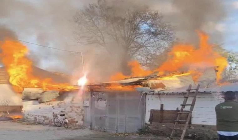 Bahçedeki otları temizlemek için yakılan ateş, ev ve ahırı da yaktı