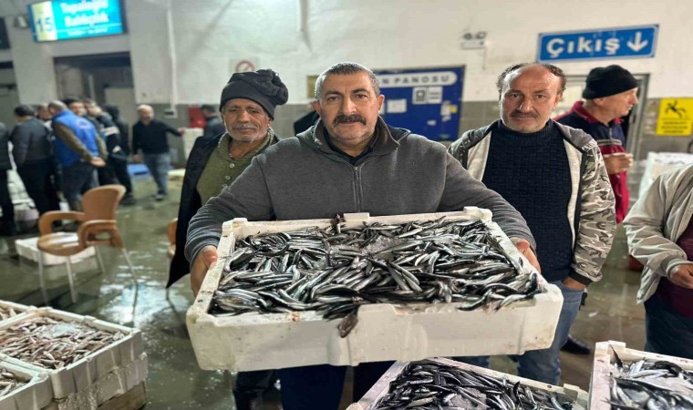 Balık mezadında kasalar dolusu hamsi kapış kapış satıldı