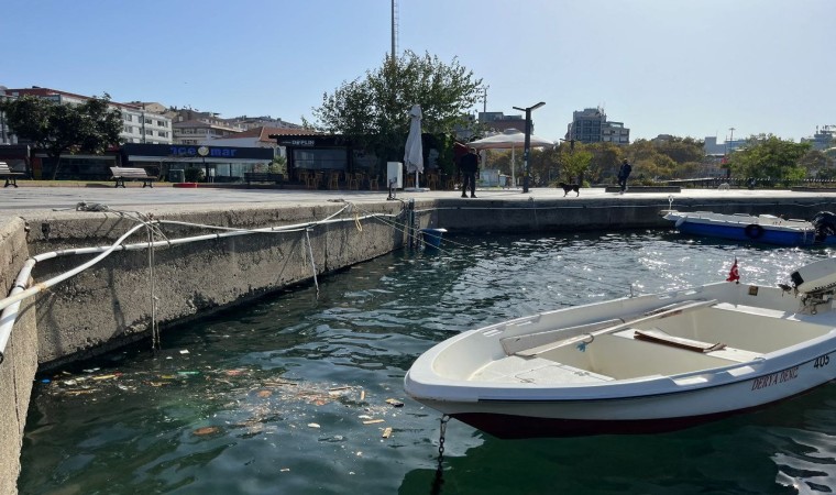 Bandırmanın meşhur rüzgarı poyraz, yerini lodosa bırakınca limanı çöp bastı