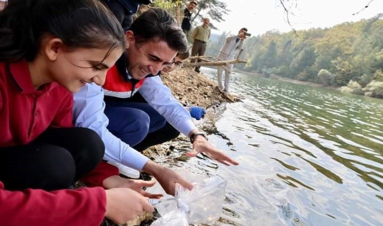 Bilecikteki göletlere 112 bin yavru sazan bırakıldı