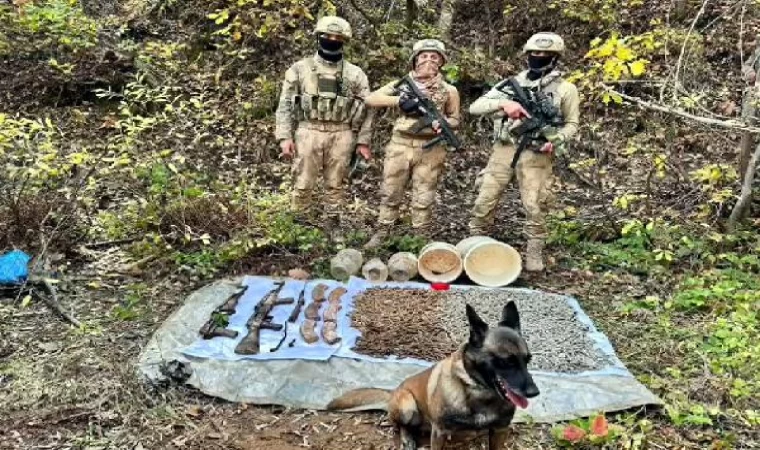 Bitlis kırsalında toprağa gömülü silah ve mühimmat ele geçirildi