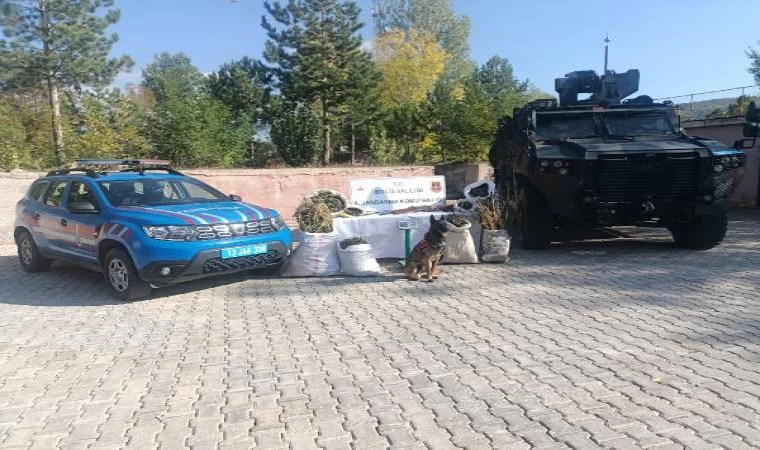 Bitlis’te 28 kilo kubar esrar ele geçirildi