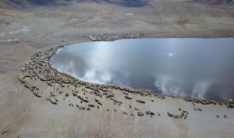 Bitlis’te göçerlerin zorlu dönüş yolculuğu başladı